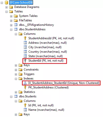 Entity Framework Core配置对象之间一对一关系 1