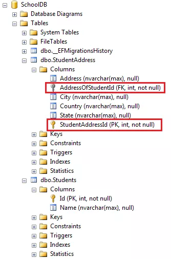 使用Entity Framework Core中的Fluent API配置一对一关系 1