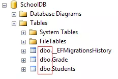 Entity Framework Core 约定 1
