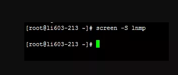 2026 新手VPS使用教程 13