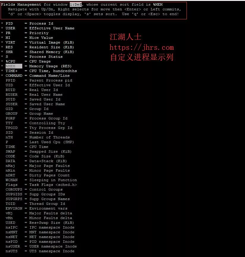 自定义进程显示列