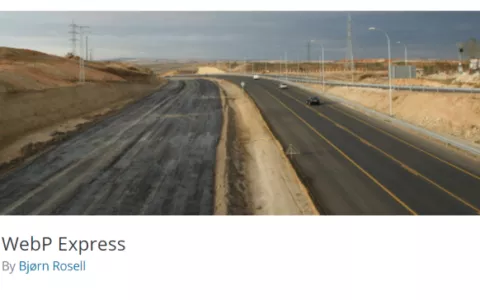 什么是WebP以及如何在WordPress中使用WebP图像