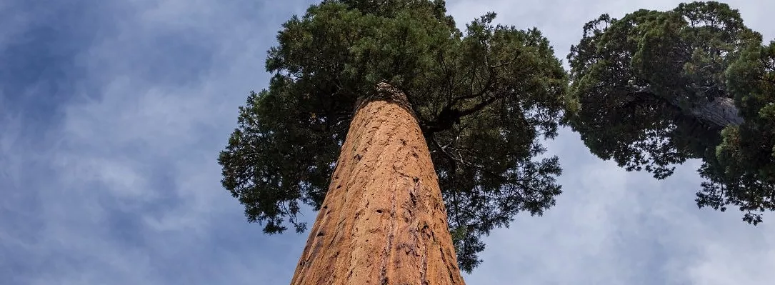 抛弃欲望的重负，打造你的细水长流赚钱事业
