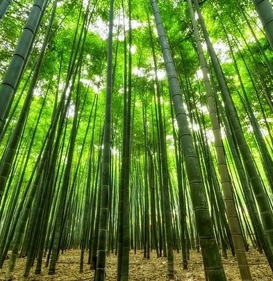 抛弃欲望的重负，打造你的细水长流赚钱事业