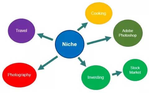 什么是niche利基