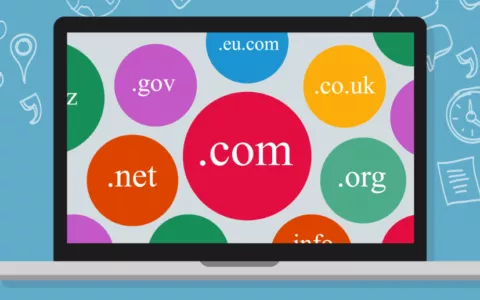 WA域名注册教程