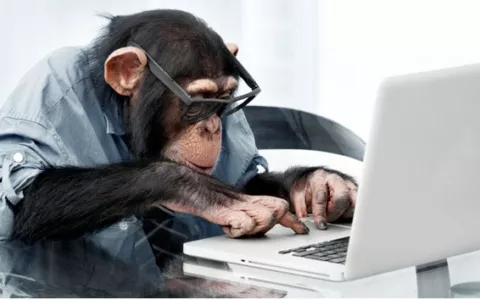 如何成为黄金程序猿