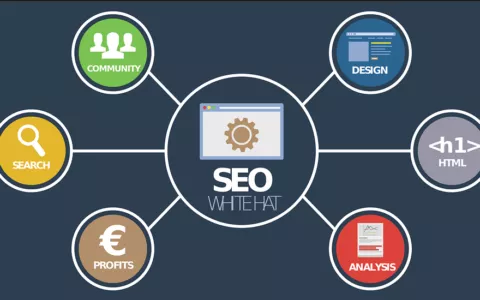 2026 外贸SEO坑之外贸网站推广谷歌SEO排名，水到底有多深？