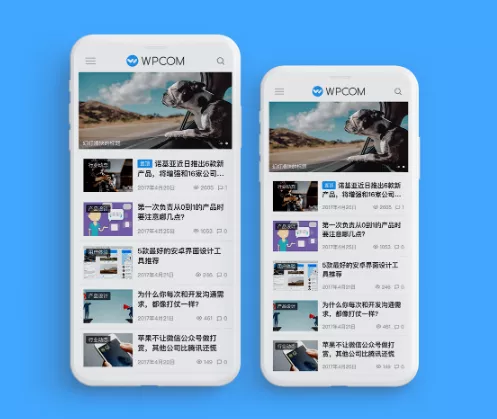 020年最好WordPress中文主题,含自媒体,博客,企业,商城主题"