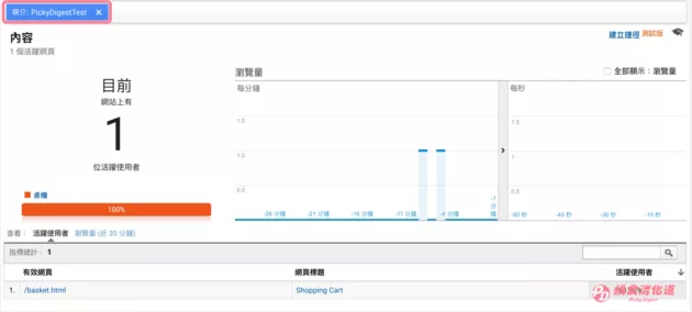 Google Analytics分析入门，PickyDigestTest的测试流量