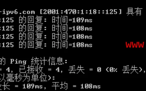 vultr IPV6服务器安装宝塔面板 – 搭建网站实现IPV4访问/ipv6，ipv4皆可访问