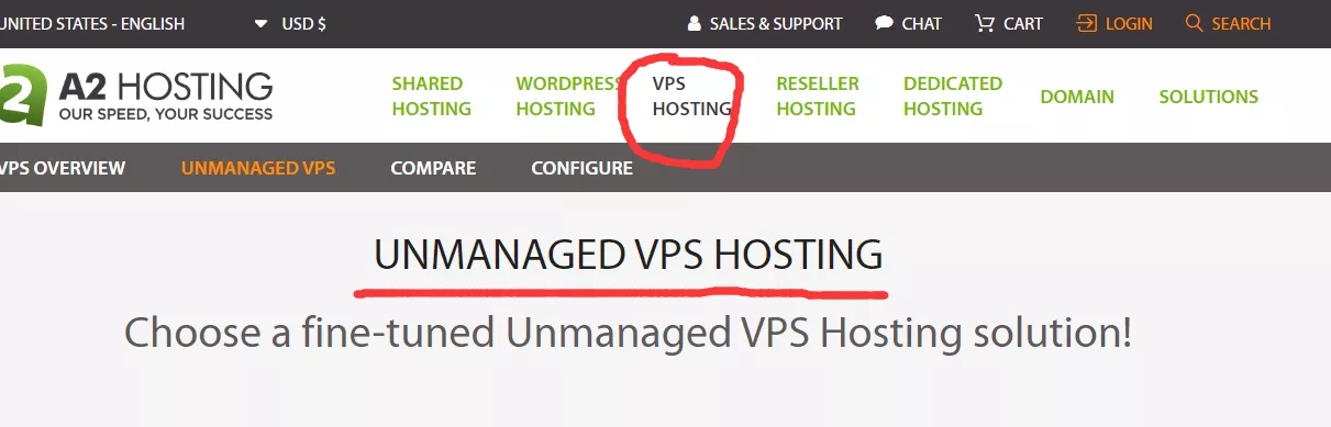 VPS HOSTING