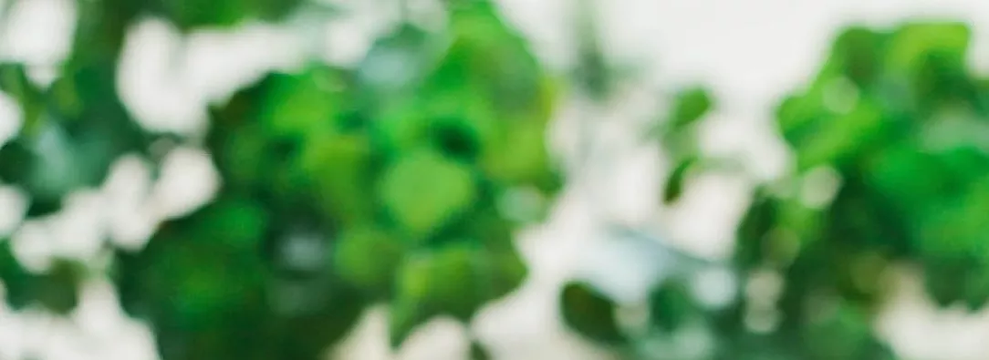 2019博客网站赚美元难吗