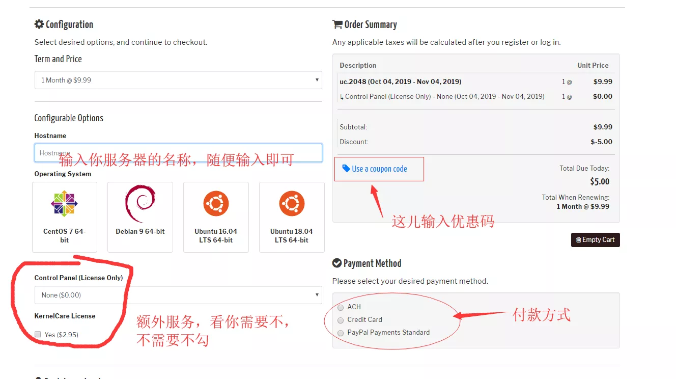 美国云服务器推荐，购买付款界面