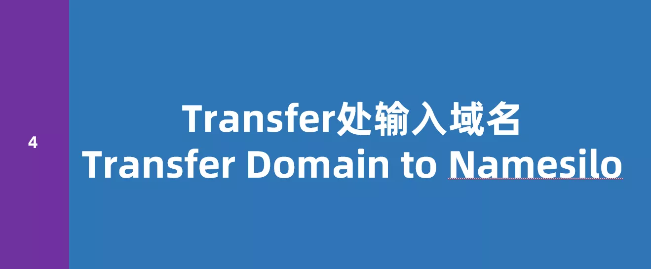 Transfer处输入域名