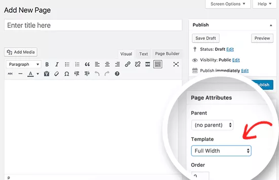 全宽页面模板，无侧边栏
