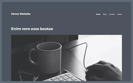 从WordPress主题中删除边栏