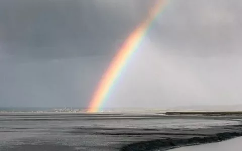 An Interesting and Positive Outlook in Spite of COVID-19