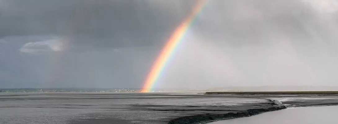 An Interesting and Positive Outlook in Spite of COVID-19