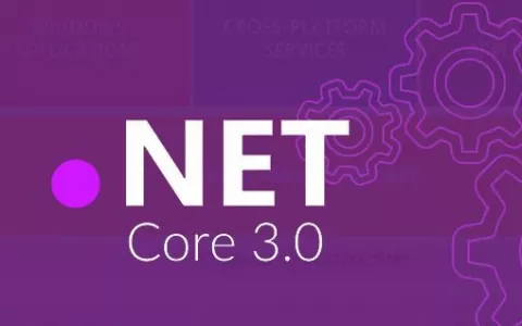 实现ASP.NET Core 属性注入