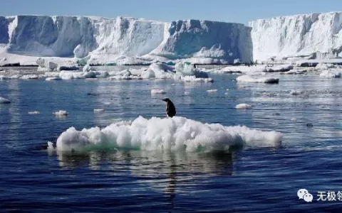 垃圾分類，1種坑錢奪名的玩法