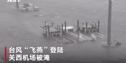 垃圾分類，1種坑錢奪名的玩法 2
