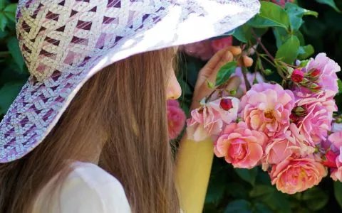 後浪，2020最後的白銀時代