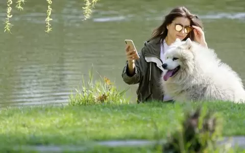 .net core获取已登录用户信息