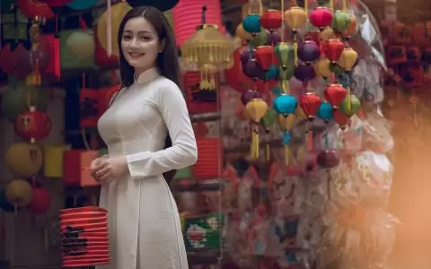 教你轻松挑选WordPress网站主题