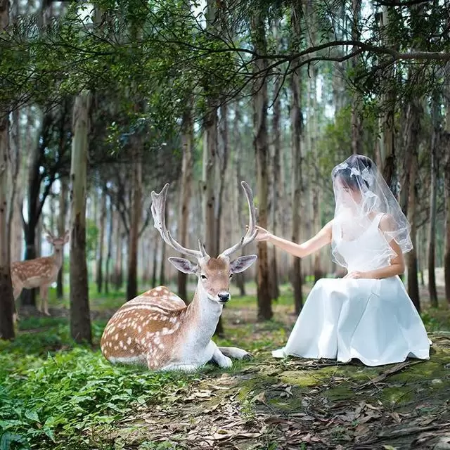 洛丽塔少女，做一个小公主