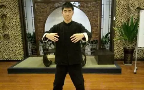 江湖传武大师，上擂台不到10秒变着花样被KO