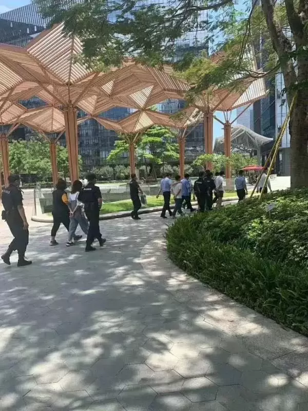 程序员写代码咋就被带上了警车？5月份真事啊 3
