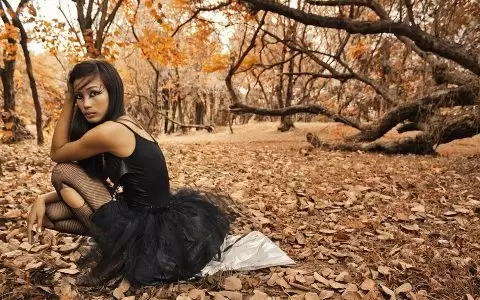 生財有道 12個年入10W的新手賺錢項目 溯本歸源