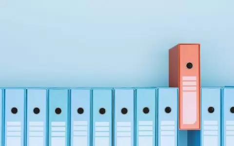 WordPress分类vs标签：通过正确组织内容来增强SEO