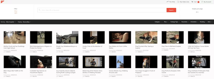 Licensing YouTube video screenshot