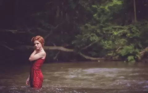 Google搜索展示丰富网页摘要的6个WordPress插件