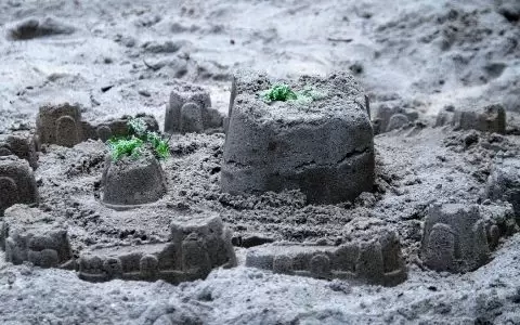 让您的网站脱离Google沙盒，试试这6个方法