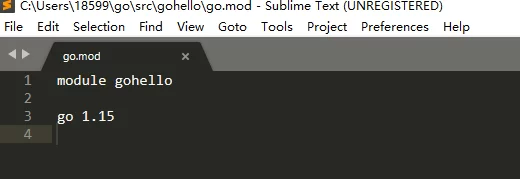 vs code配置go开发环境，2020学习go开发笔记 11