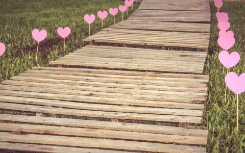 Wealthy Affiliate培训