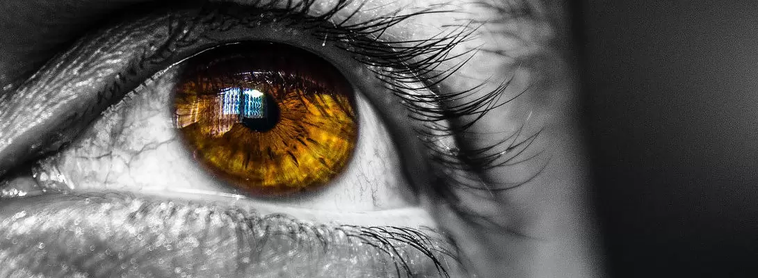 2020新的Wealthy Affiliate培训，WA对未来的愿景