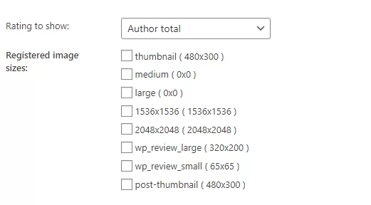 2026 最新WP Review Pro插件全局设置中文简介 13