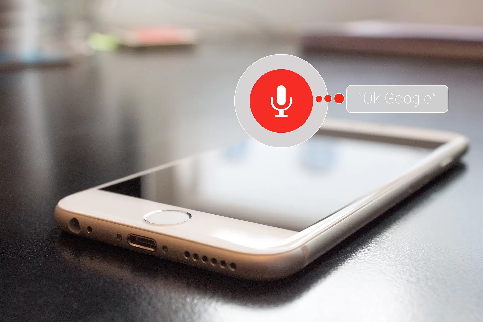最新google voice转移教程