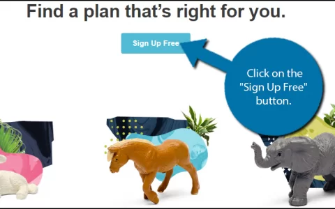 WordPress网站添加email订阅功能5分钟指南