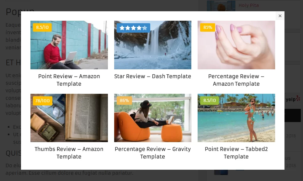 2026最新WP Review Pro插件中文教程 17