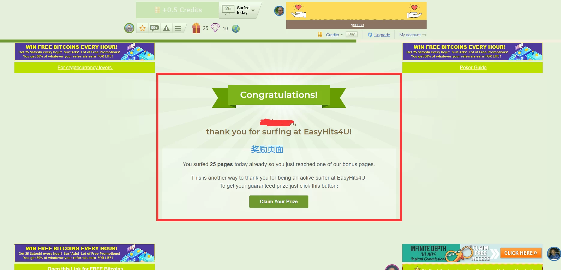 如何通过免费国外流量Easyhits4u赚钱 13