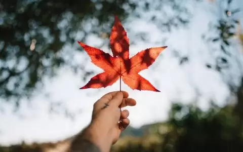 省提名计划