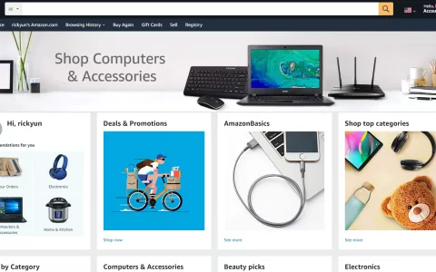 如何选择Amazon联盟网站WordPress主题