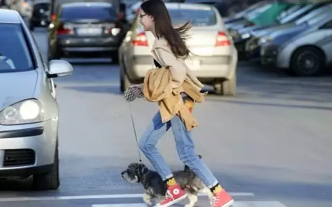 加拿大随行子女移民Dependent Child介绍