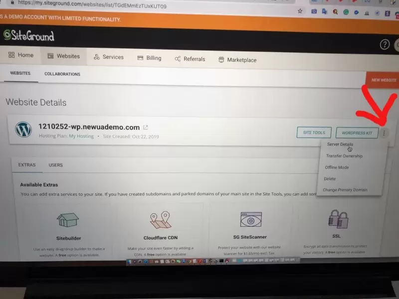 新版SiteGround后台查看NS域名解析服务器