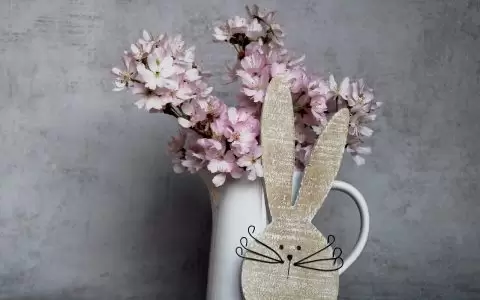 WordPress外贸建站新手指南